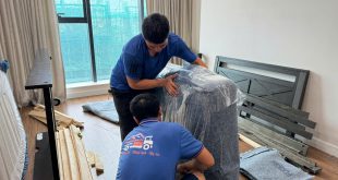 Hanoi Packers Movers team helping expats move between cities in Vietnam