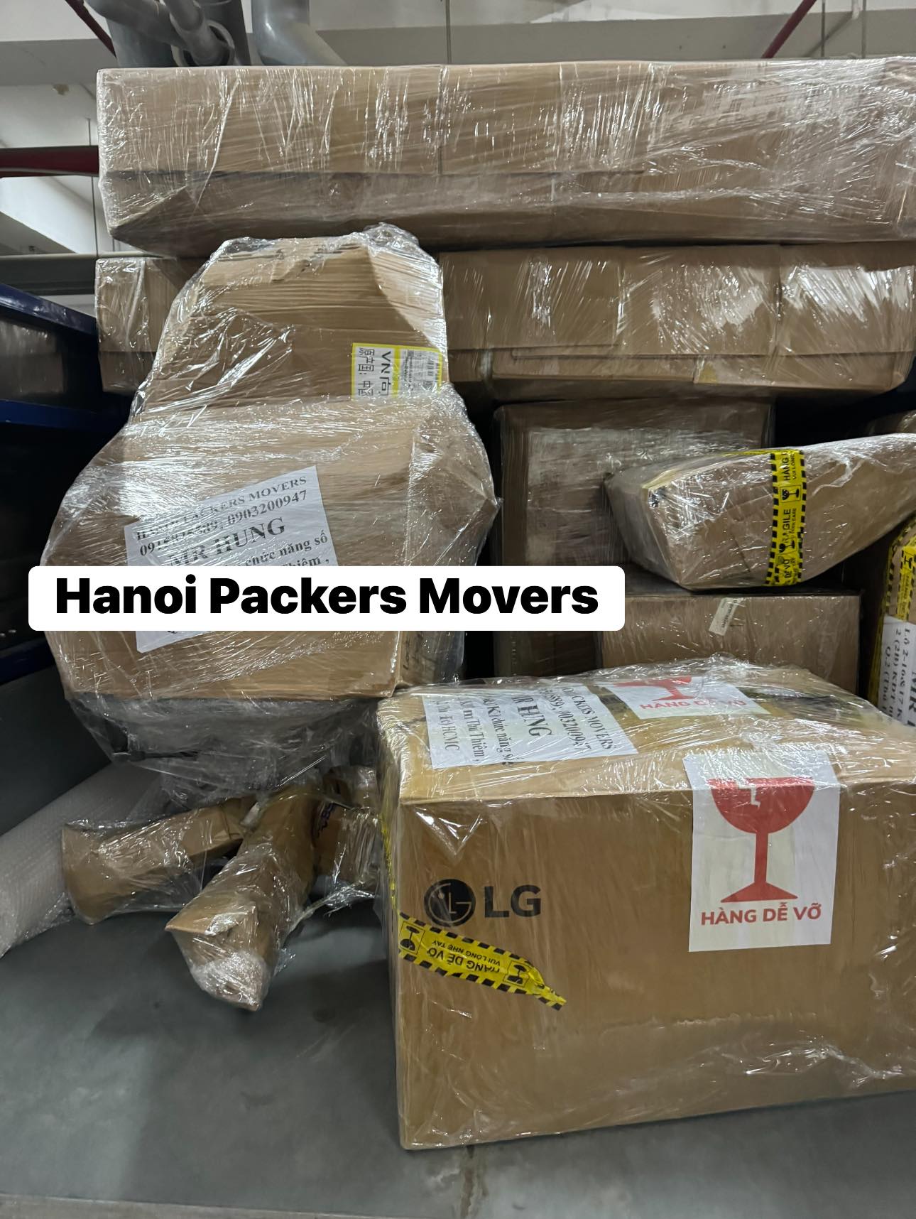 expat relocation service vietnam